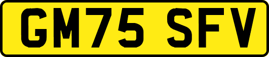 GM75SFV