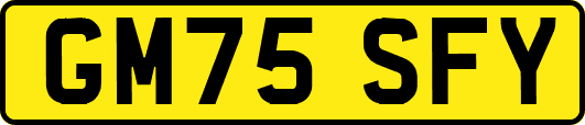 GM75SFY