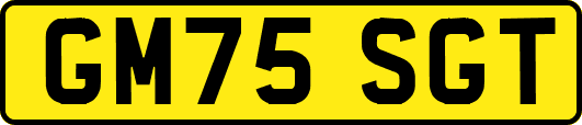 GM75SGT
