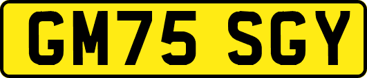 GM75SGY