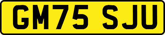 GM75SJU