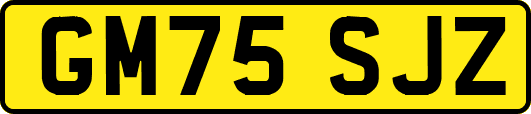 GM75SJZ