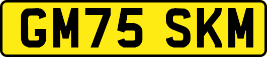 GM75SKM
