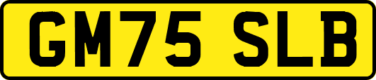 GM75SLB