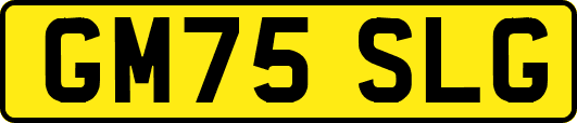 GM75SLG