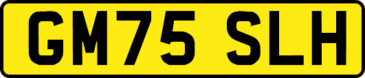 GM75SLH