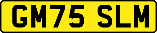 GM75SLM