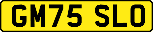 GM75SLO