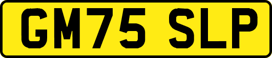 GM75SLP