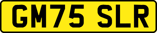 GM75SLR