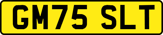 GM75SLT
