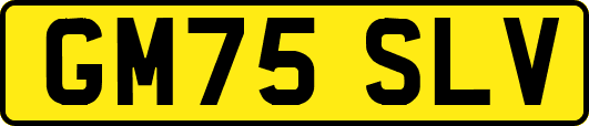 GM75SLV