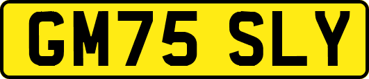 GM75SLY