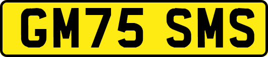 GM75SMS