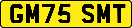 GM75SMT