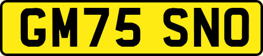 GM75SNO