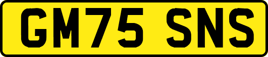 GM75SNS
