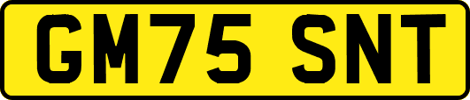 GM75SNT
