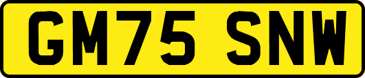 GM75SNW