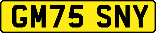 GM75SNY