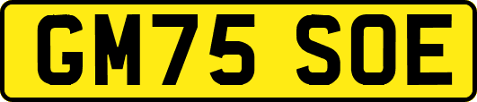 GM75SOE