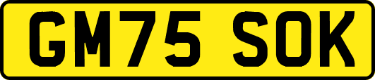 GM75SOK