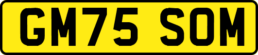 GM75SOM