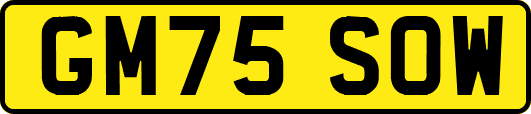 GM75SOW