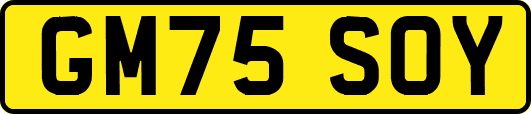 GM75SOY