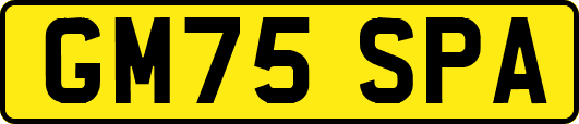 GM75SPA