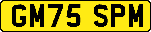 GM75SPM