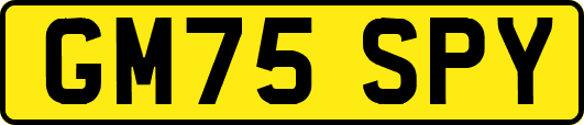 GM75SPY