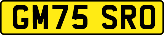 GM75SRO