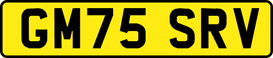GM75SRV
