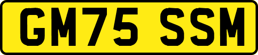 GM75SSM