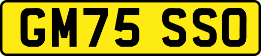 GM75SSO