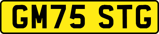 GM75STG
