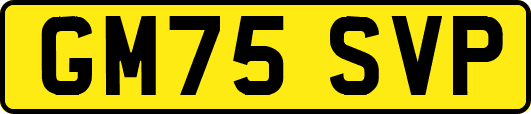 GM75SVP