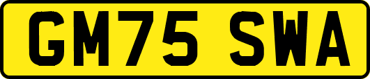 GM75SWA