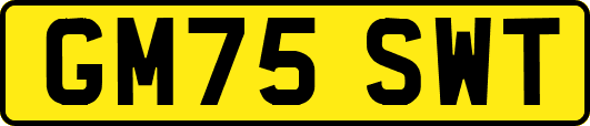 GM75SWT