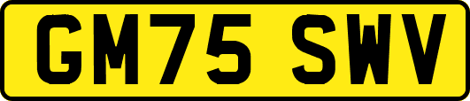GM75SWV