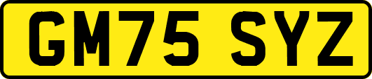 GM75SYZ