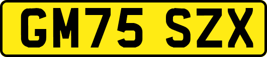 GM75SZX