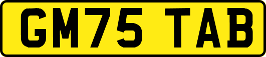 GM75TAB