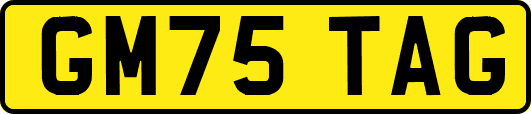 GM75TAG