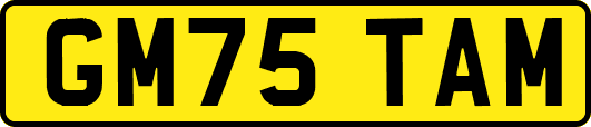 GM75TAM