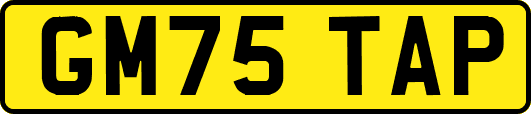 GM75TAP