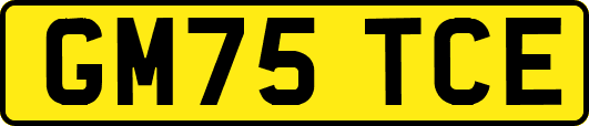 GM75TCE