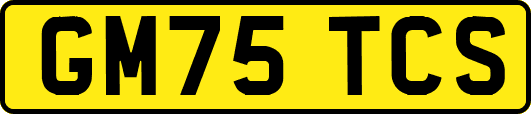 GM75TCS