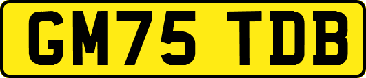 GM75TDB